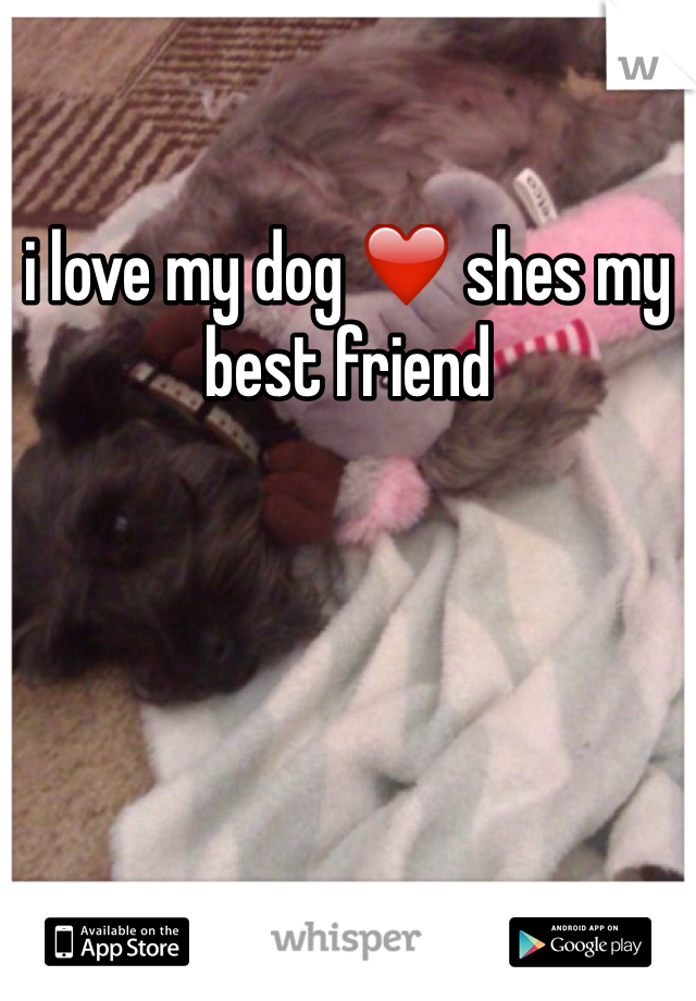 i love my dog ❤️ shes my best friend