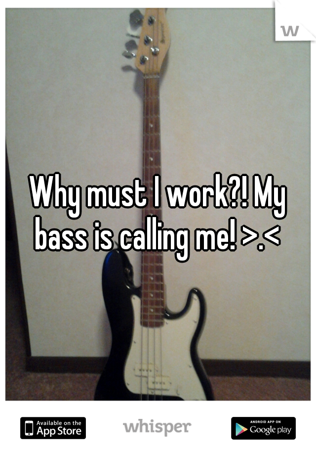 Why must I work?! My bass is calling me! >.< 