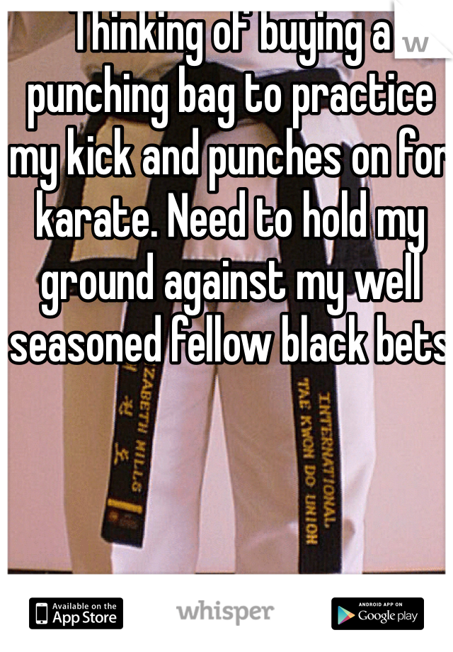 Thinking of buying a punching bag to practice my kick and punches on for karate. Need to hold my ground against my well seasoned fellow black bets 
