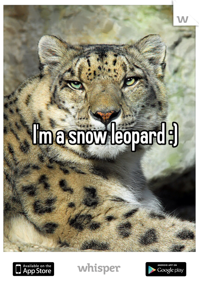 I'm a snow leopard :)