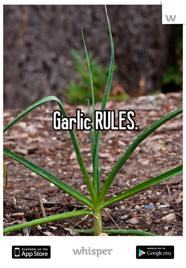 Garlic RULES. 