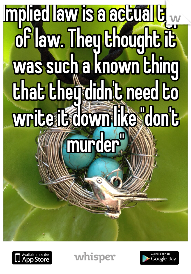 Implied law is a actual type of law. They thought it was such a known thing that they didn't need to write it down like "don't murder"