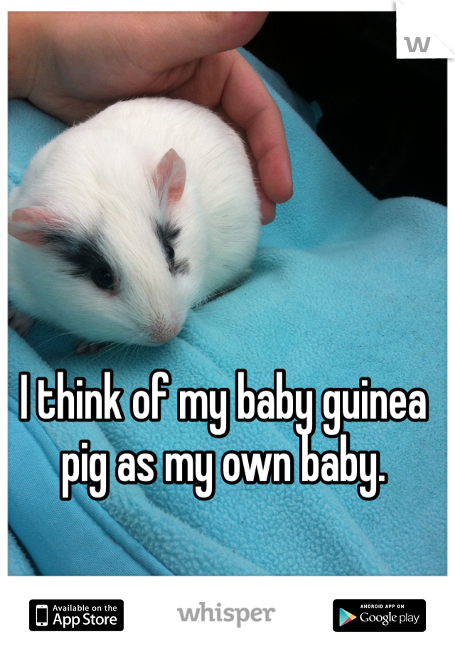 I think of my baby guinea pig as my own baby.