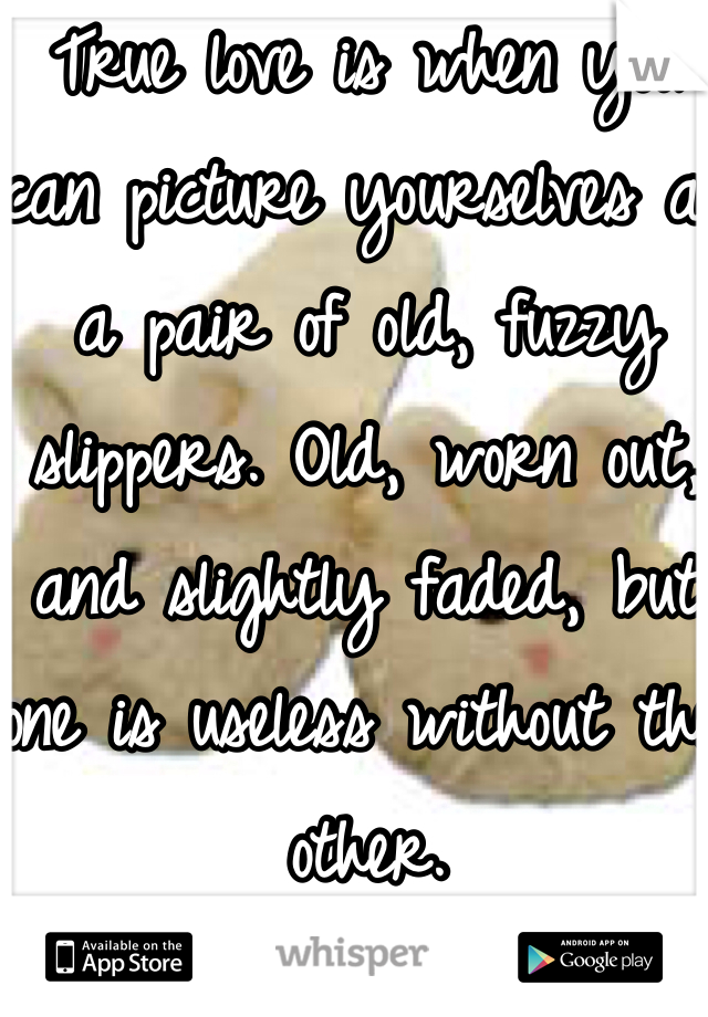 True love is when you can picture yourselves as a pair of old, fuzzy slippers. Old, worn out, and slightly faded, but one is useless without the other. 