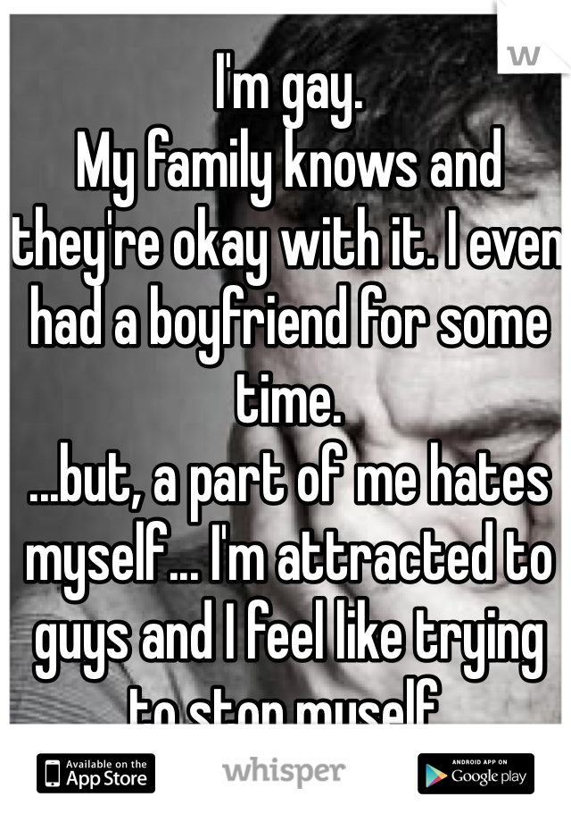 I'm gay.
My family knows and they're okay with it. I even had a boyfriend for some time.
...but, a part of me hates myself... I'm attracted to guys and I feel like trying to stop myself.