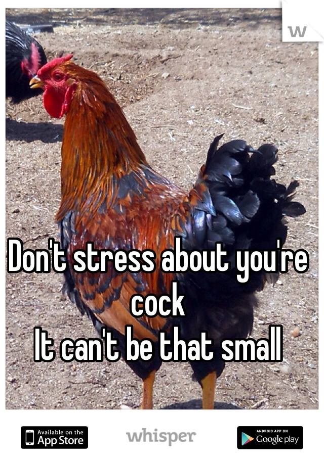 Don't stress about you're cock
It can't be that small