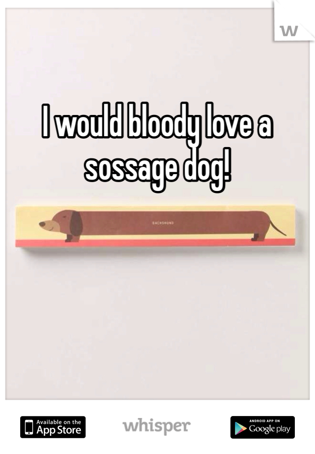 I would bloody love a sossage dog!
