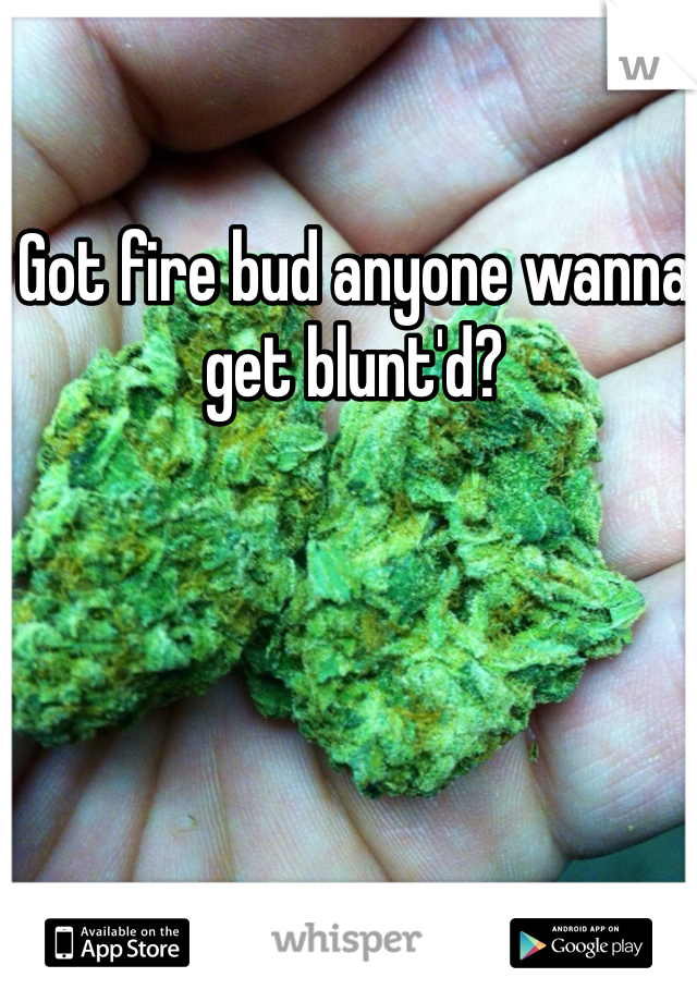 Got fire bud anyone wanna get blunt'd?