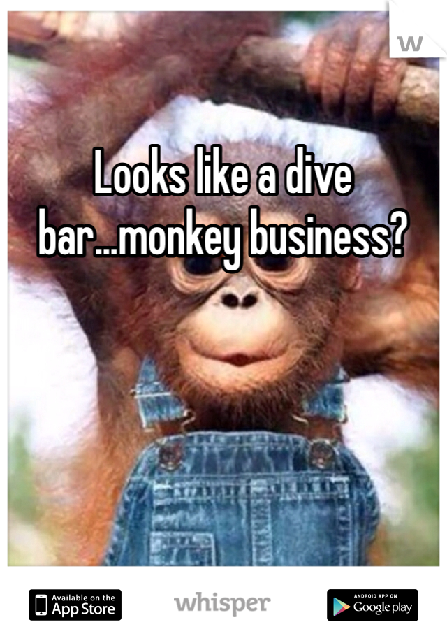 Looks like a dive bar...monkey business?