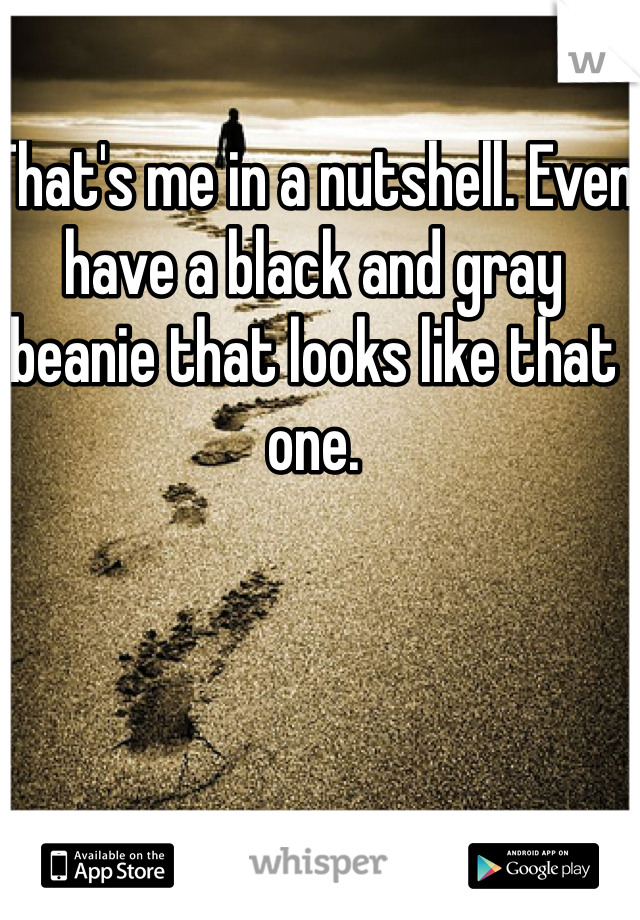 That's me in a nutshell. Even have a black and gray beanie that looks like that one. 