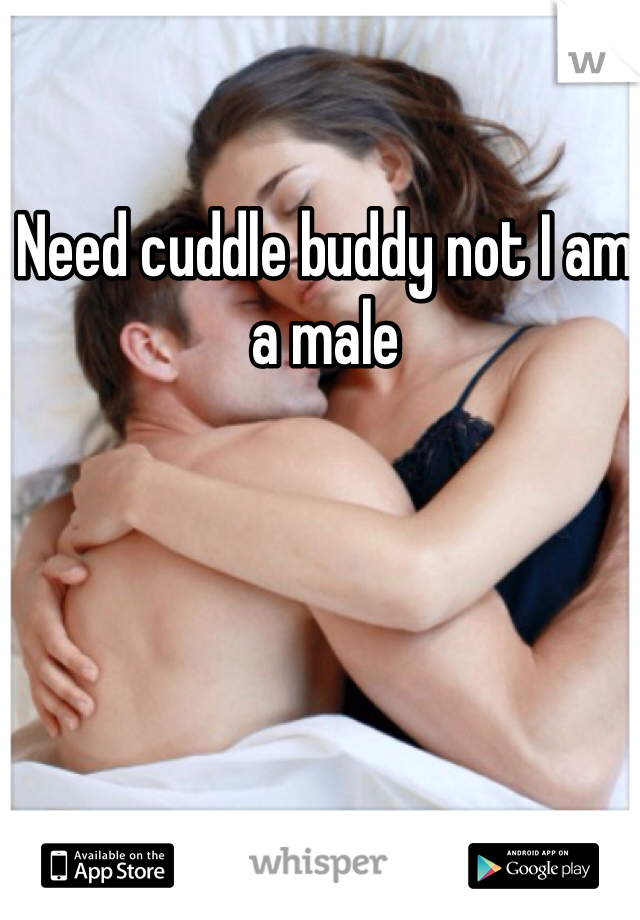 Need cuddle buddy not I am a male 
