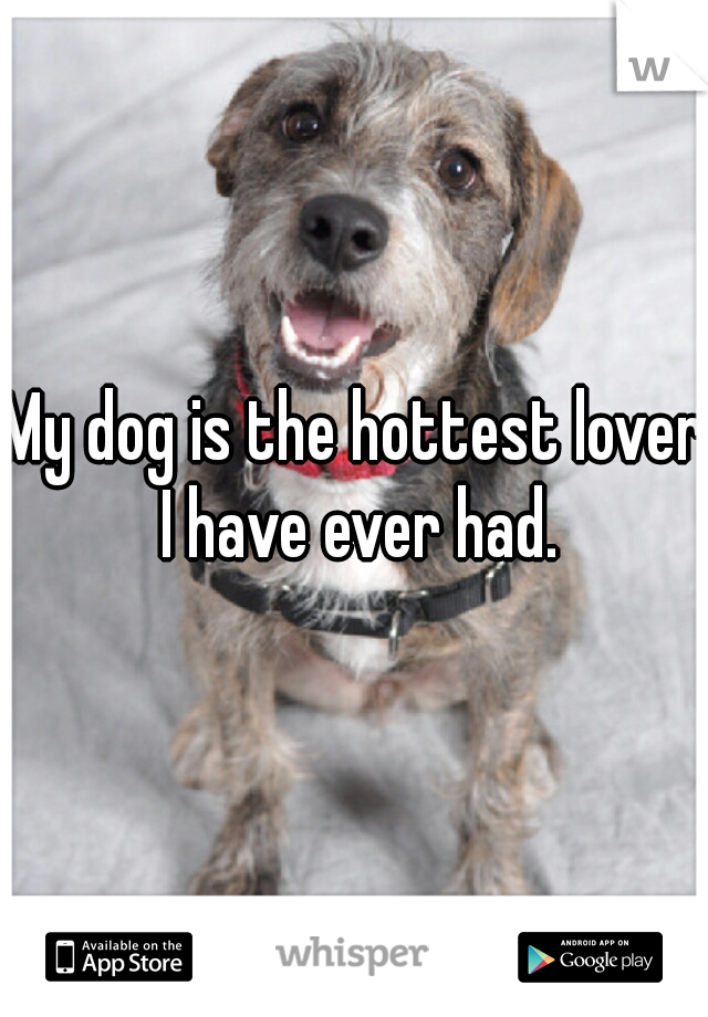 My dog is the hottest lover I have ever had.