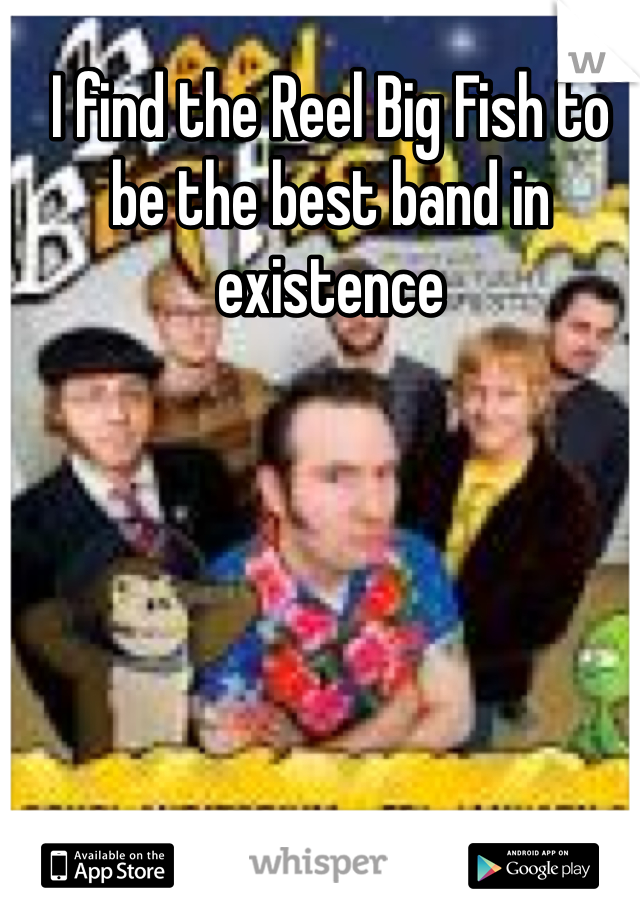 I find the Reel Big Fish to be the best band in existence