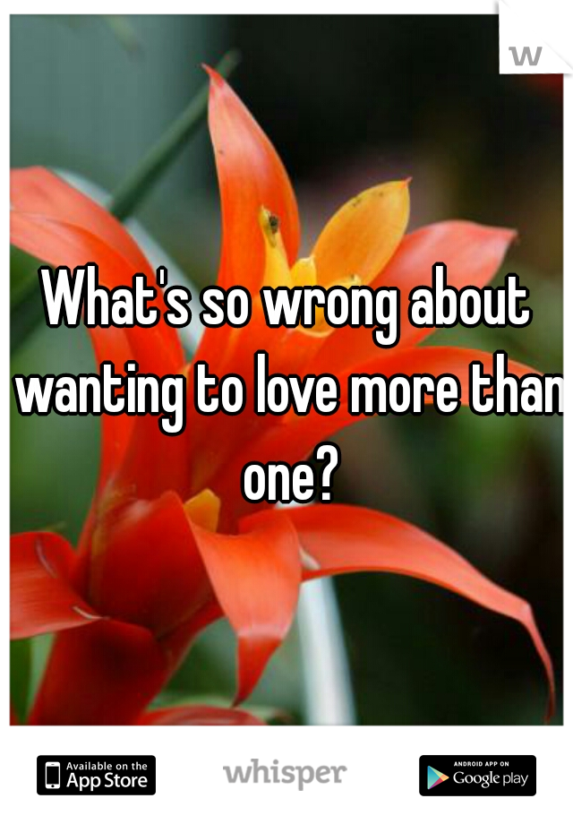 What's so wrong about wanting to love more than one?