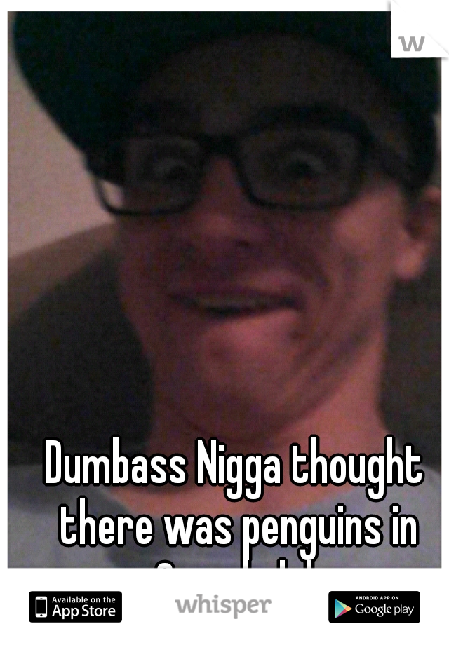 Dumbass Nigga thought there was penguins in Canada lol 