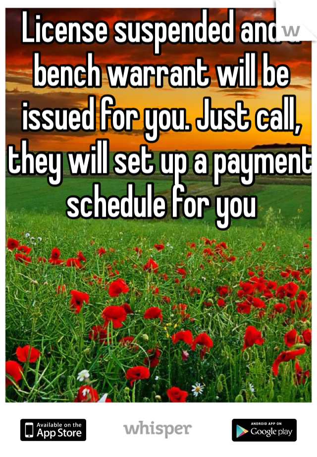 License suspended and a bench warrant will be issued for you. Just call, they will set up a payment schedule for you