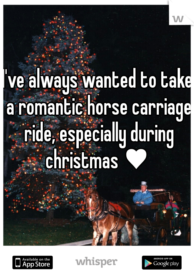 I've always wanted to take a romantic horse carriage ride, especially during christmas ♥ 