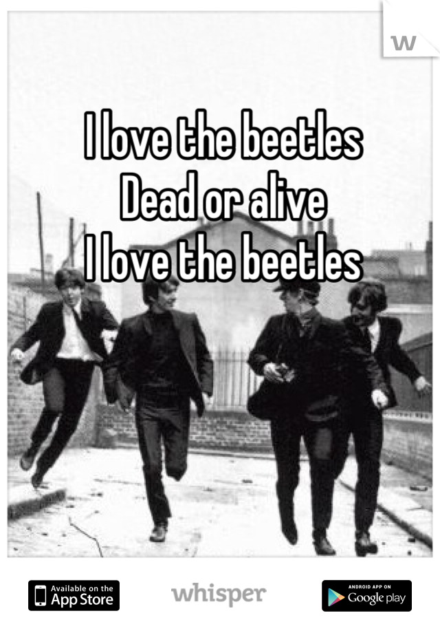 I love the beetles 
Dead or alive
I love the beetles