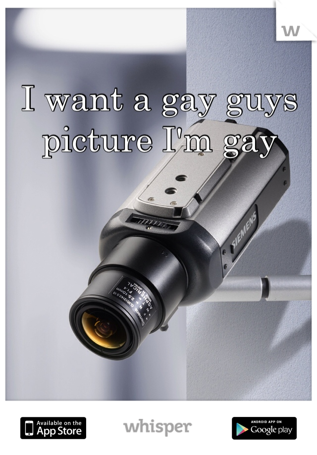 I want a gay guys picture I'm gay 