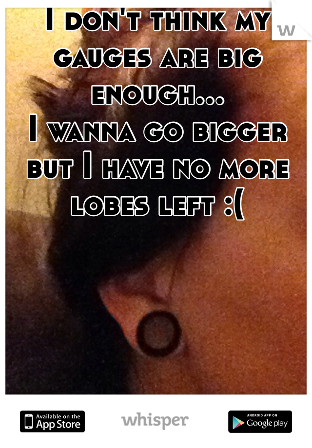 I don't think my gauges are big enough...
I wanna go bigger but I have no more lobes left :(