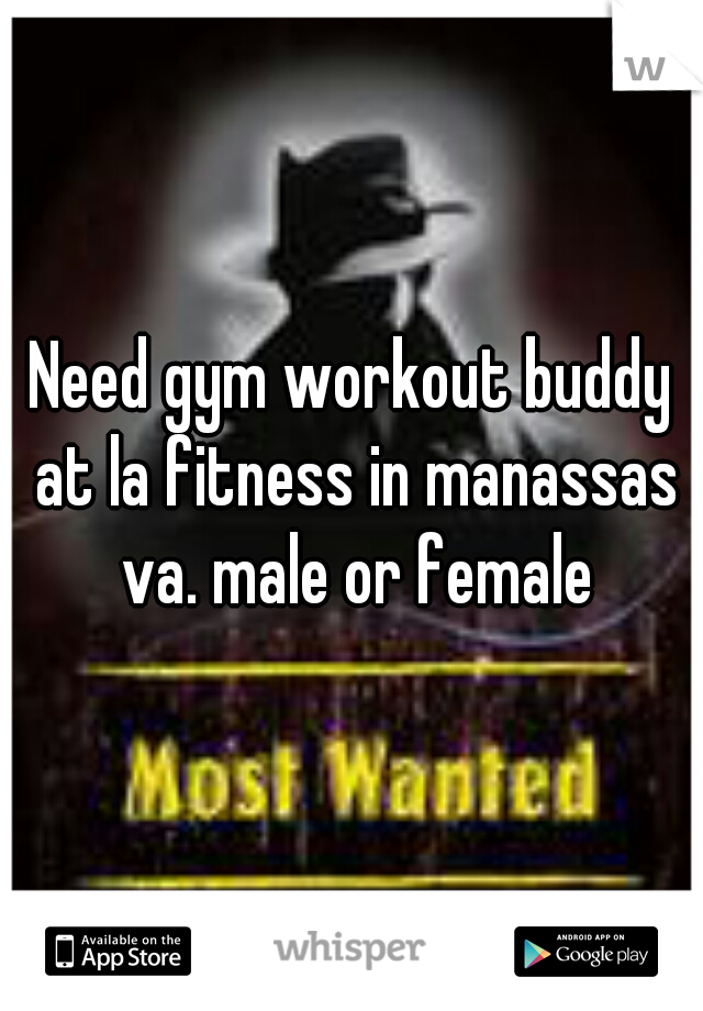 Need gym workout buddy at la fitness in manassas va. male or female