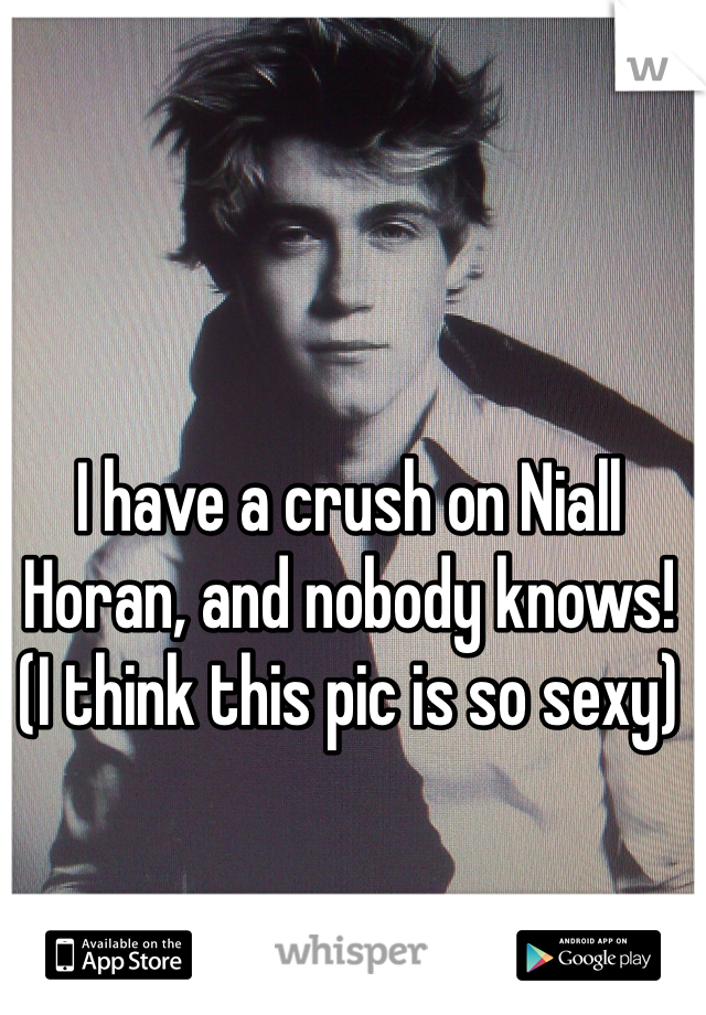 I have a crush on Niall Horan, and nobody knows! 
(I think this pic is so sexy) 