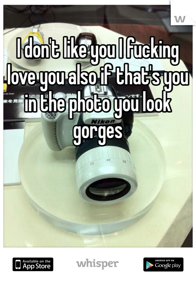 I don't like you I fucking love you also if that's you in the photo you look gorges 