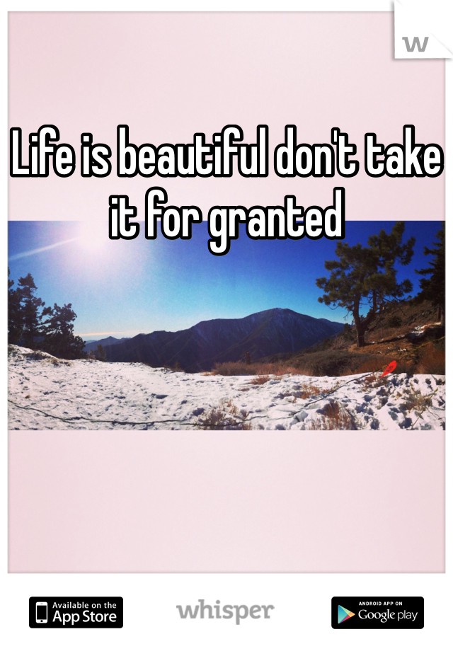 Life is beautiful don't take it for granted