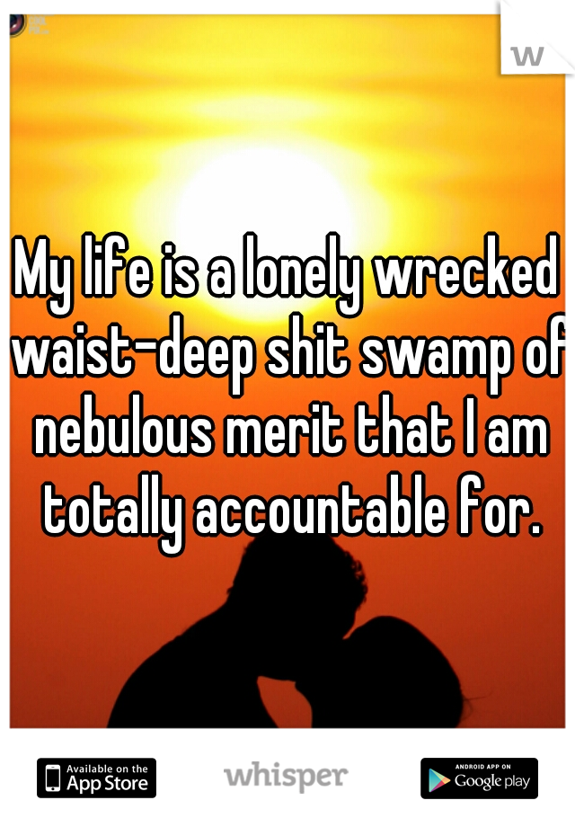 My life is a lonely wrecked waist-deep shit swamp of nebulous merit that I am totally accountable for.