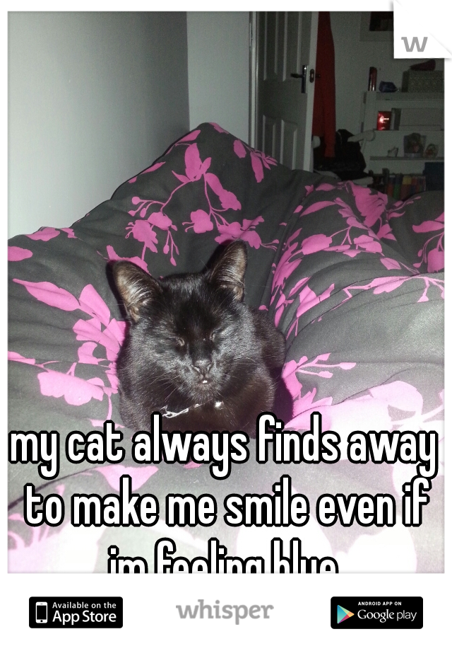 my cat always finds away to make me smile even if im feeling blue 