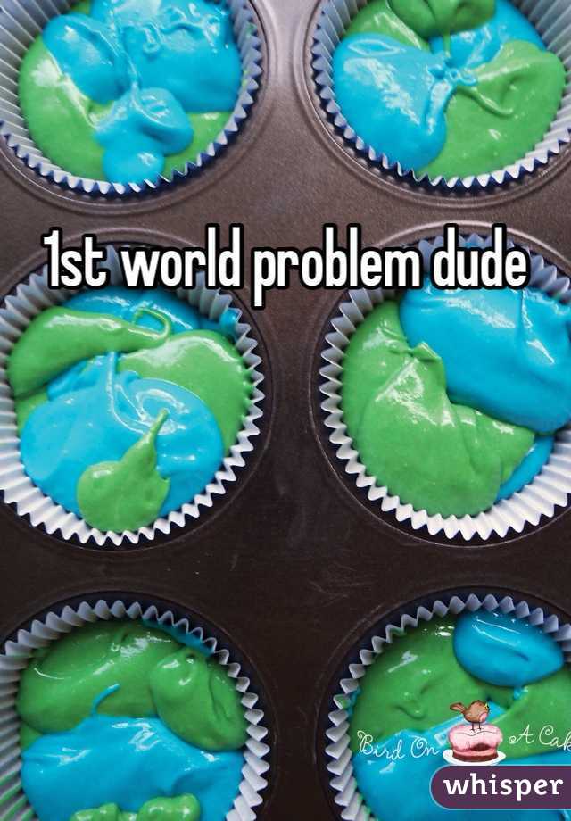1st world problem dude