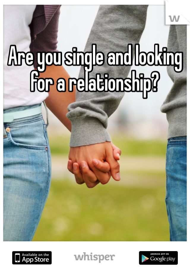 Are you single and looking for a relationship?