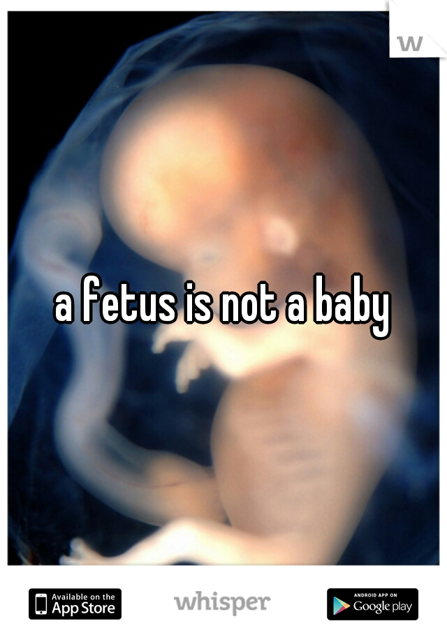 a fetus is not a baby