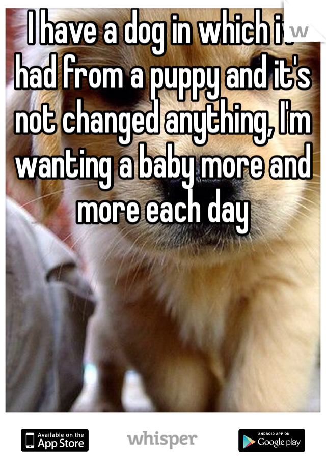 I have a dog in which iv had from a puppy and it's not changed anything, I'm wanting a baby more and more each day
