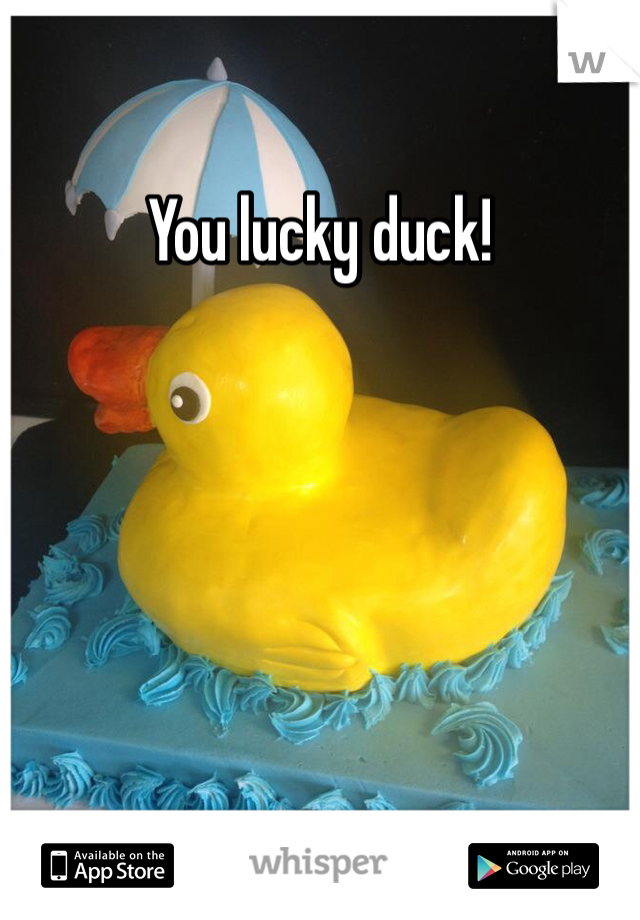 You lucky duck!