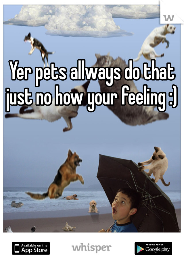 Yer pets allways do that just no how your feeling :)