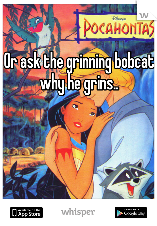 Or ask the grinning bobcat why he grins..