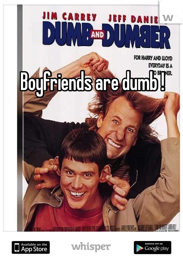 Boyfriends are dumb ! 
