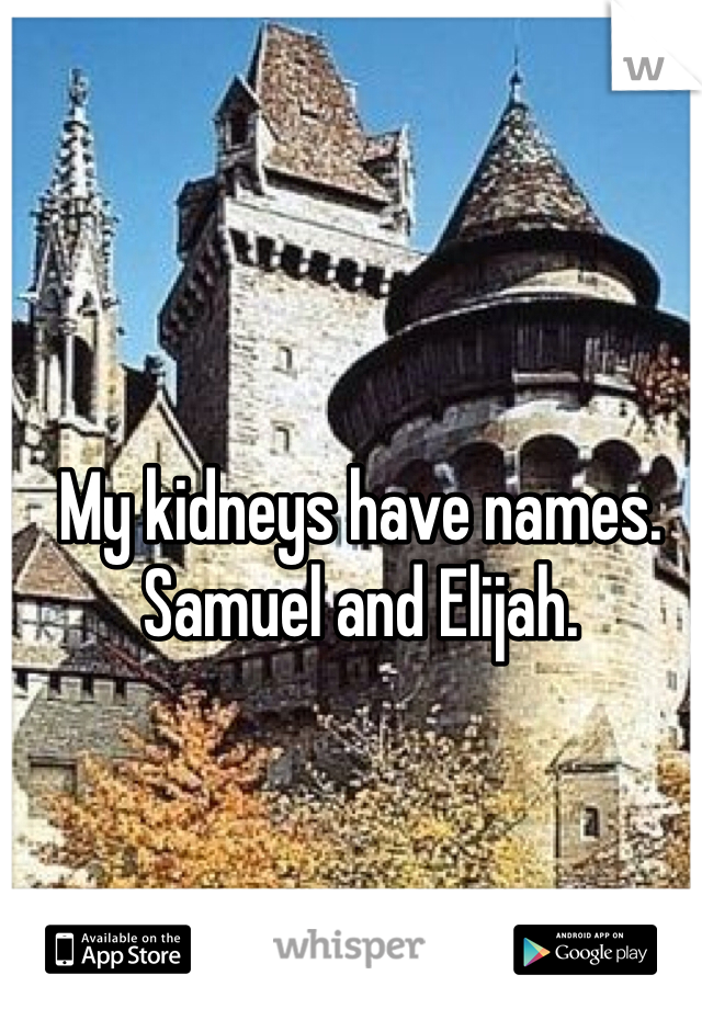 My kidneys have names.
Samuel and Elijah.