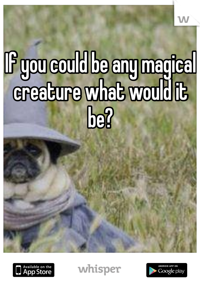 If you could be any magical creature what would it be?