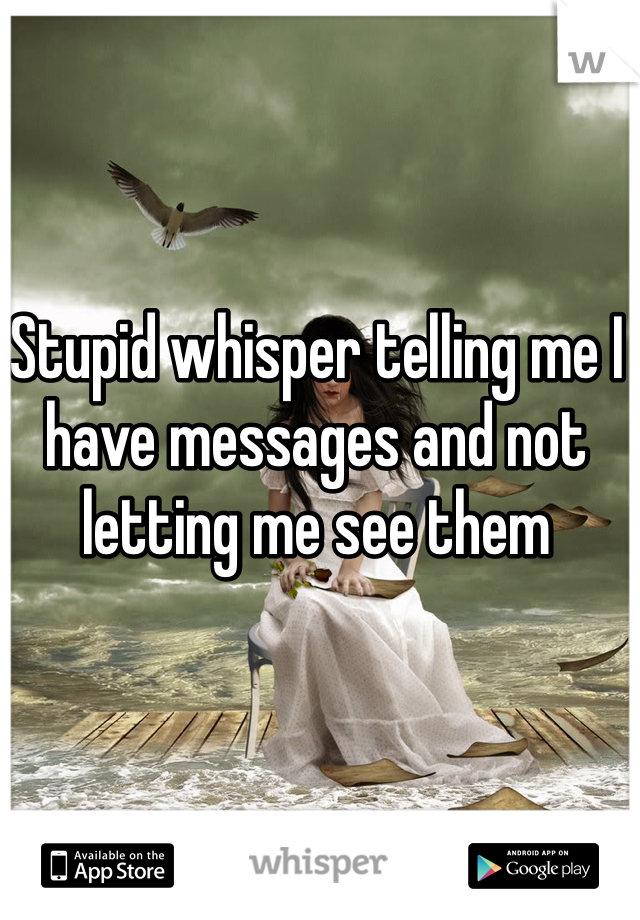 Stupid whisper telling me I have messages and not letting me see them