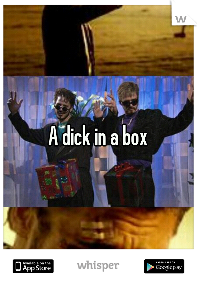 A dick in a box