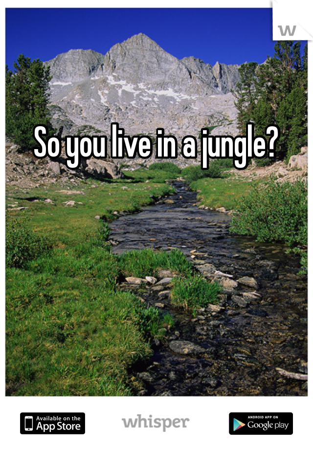 So you live in a jungle?