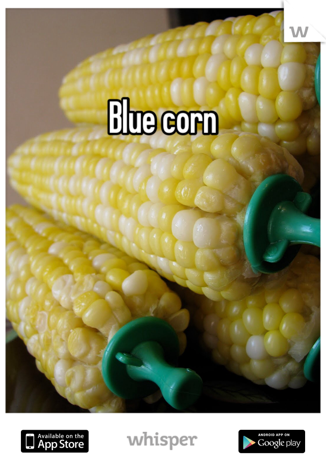 Blue corn