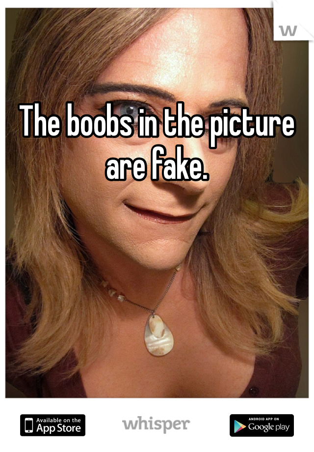 The boobs in the picture are fake.