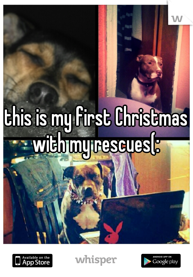 this is my first Christmas with my rescues(: 