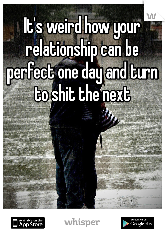 It's weird how your relationship can be perfect one day and turn to shit the next 