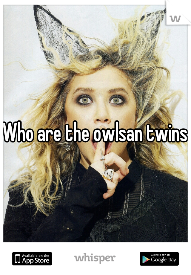 Who are the owlsan twins?