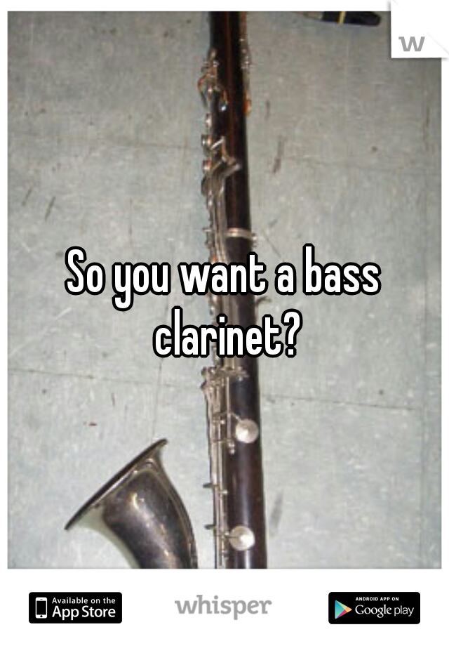 So you want a bass clarinet?