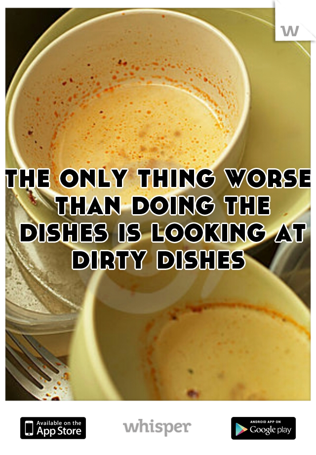 the only thing worse than doing the dishes is looking at dirty dishes 